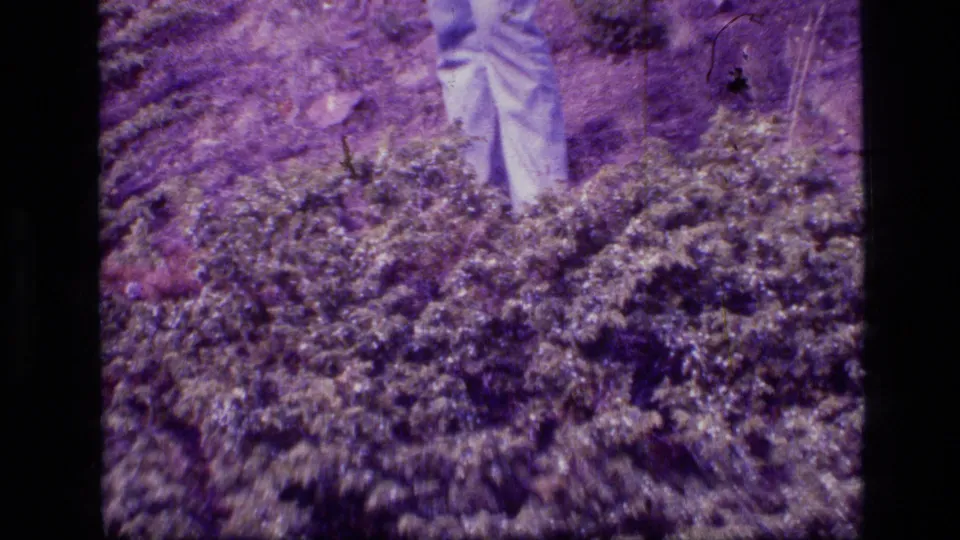 A Montana wilderness home-movie frame shows a person's white pants partly visible above dense purple-tinted brush.