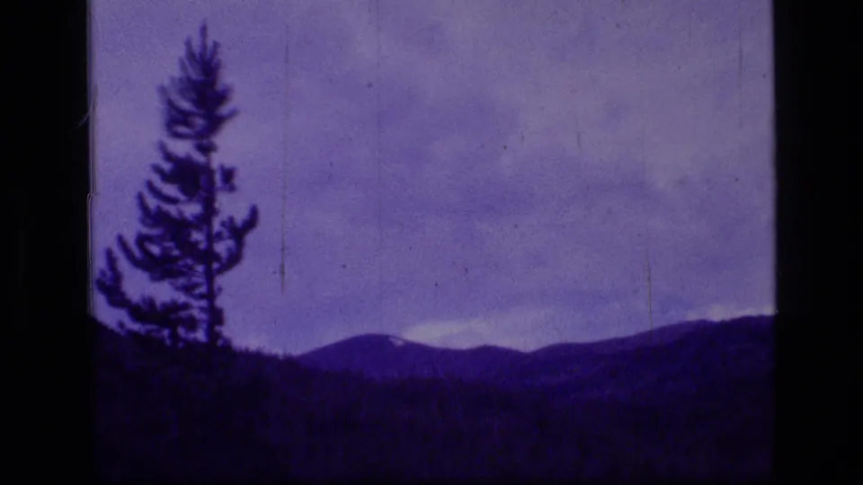 A lone pine tree is silhouetted against purple-tinted sky and distant Montana mountain ridges on 8mm film.