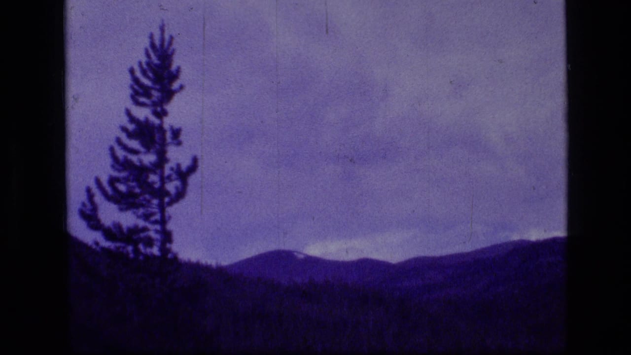 Silhouetted pine at left with distant mountain ridge beneath a bluish cloudy sky.