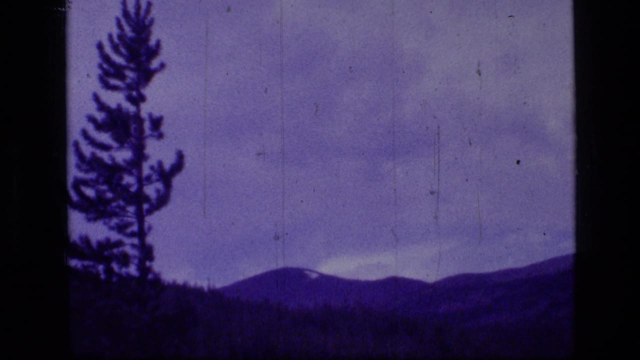 Pine silhouette and rounded mountain ridge with a small pale patch near the peak.