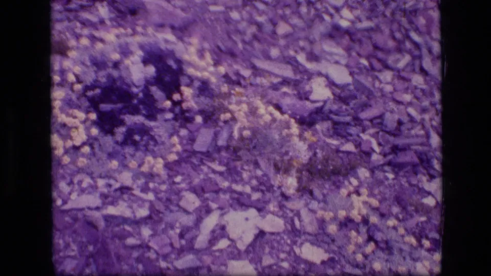 Close 1973 8mm view of rocky ground in the Scapegoat Wilderness, with scattered stones and sparse alpine vegetation.