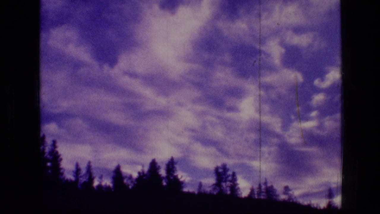 1973 8mm view of purple-toned clouds over a silhouetted evergreen treeline in Scapegoat Wilderness, Montana.