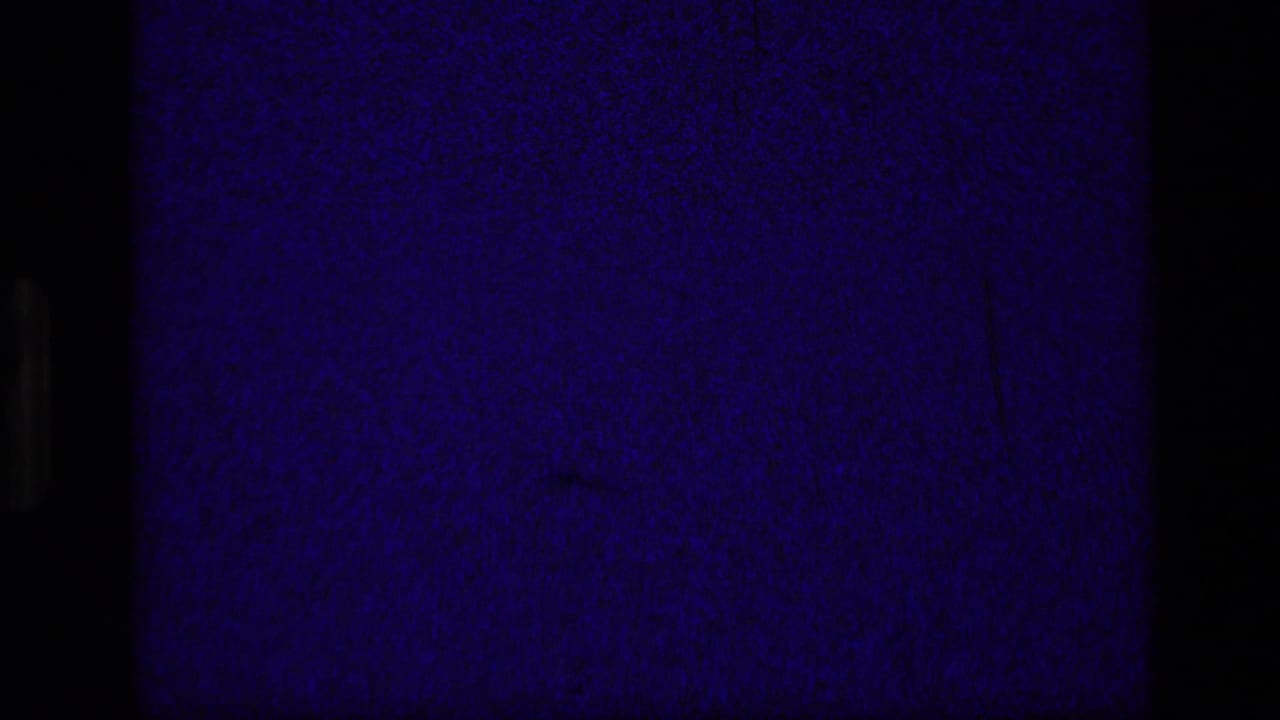 Dark blue exposed film area beside a forest frame edge.