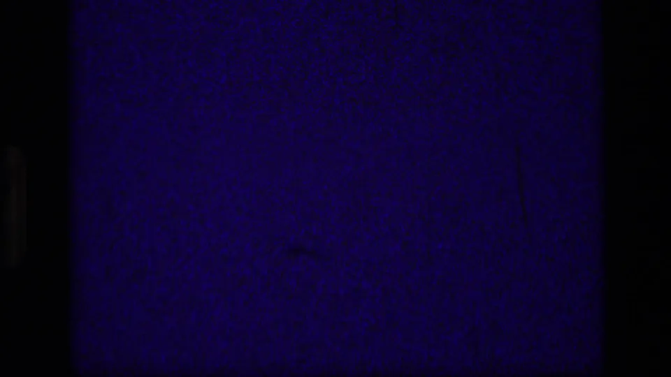 A mostly dark blue 8mm film segment appears beside the start of the forest sequence, suggesting a transition or exposed leader area.