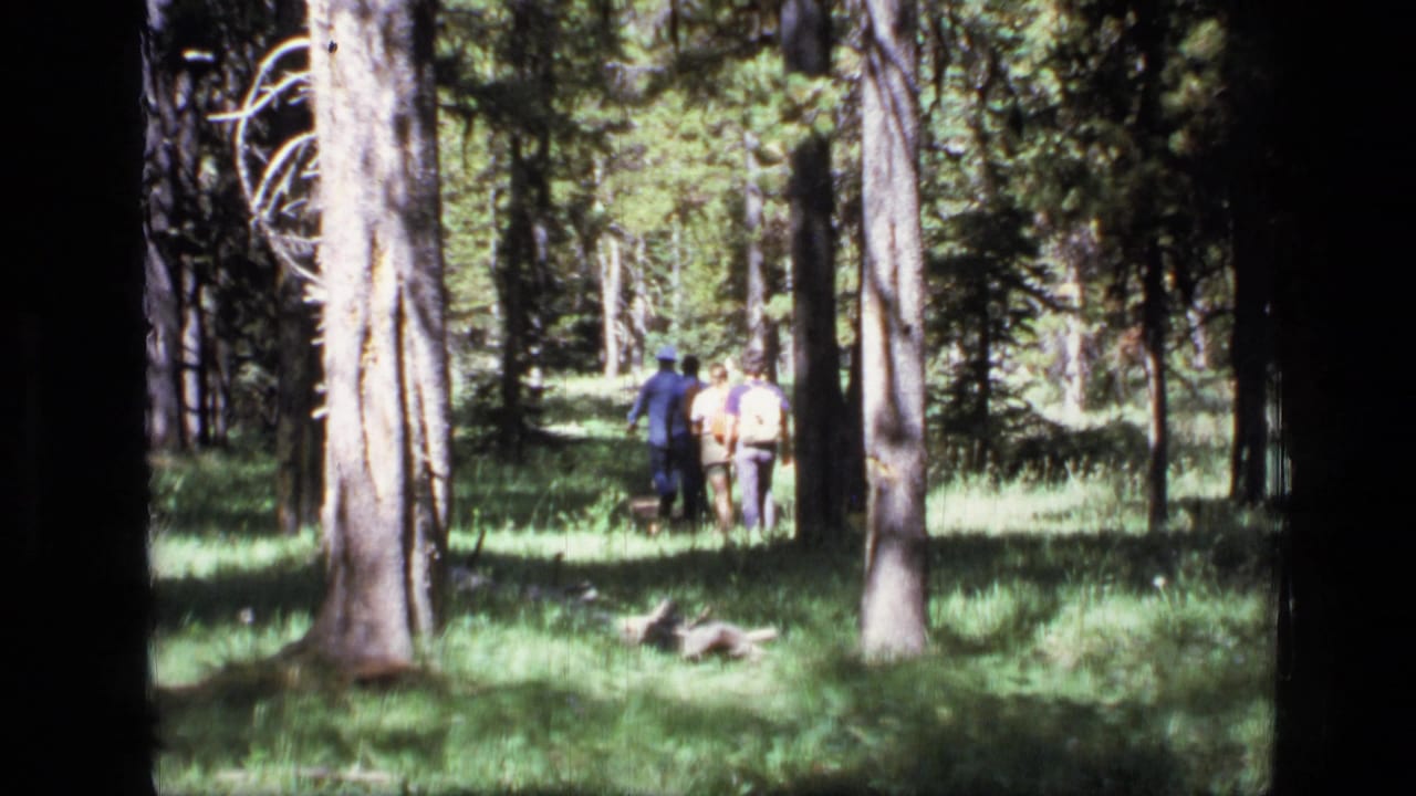 Three men appear to walk away through sun-dappled Scapegoat Wilderness forest, with tall trunks and green undergrowth visible.