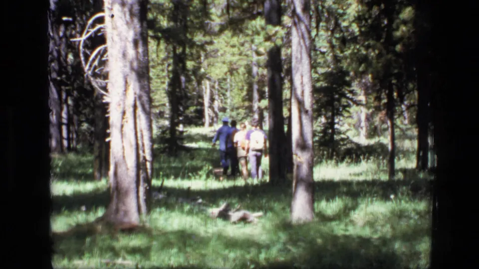Three men appear to walk away through sun-dappled Scapegoat Wilderness forest, with tall trunks and green undergrowth visible.