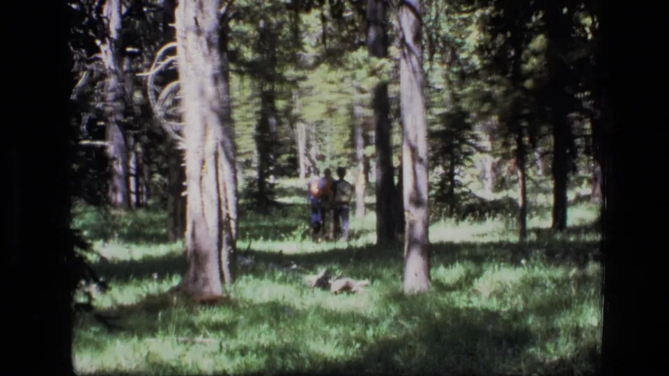 The three adult hikers continue away from the camera through a Montana forest clearing, partly obscured by trunks and bright grass.