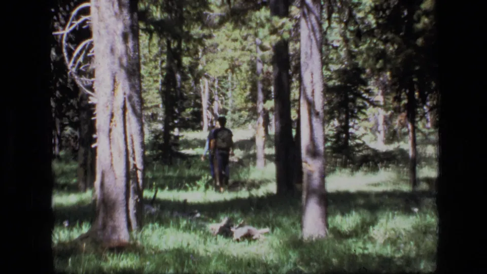 A single man remains visible farther into the Scapegoat Wilderness trees, framed by tall trunks and mottled green forest light.