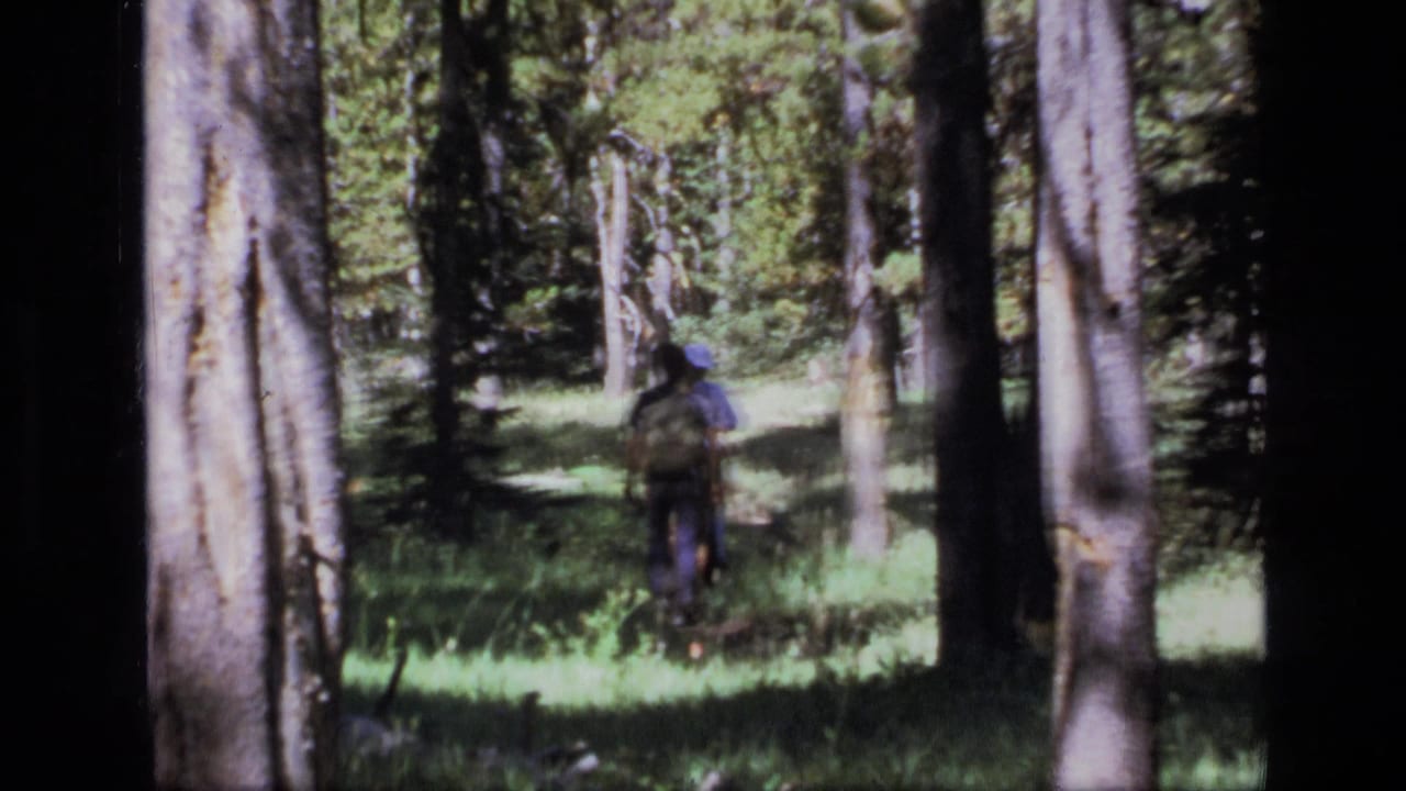 A distant backpacked hiker walks through sun-dappled Montana forest, seen from behind in 1973 8mm footage.