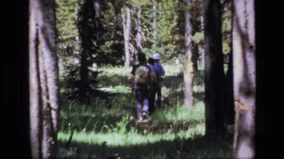 Two hikers walk away through the Scapegoat Wilderness forest, framed by trees and soft 1970s 8mm color.