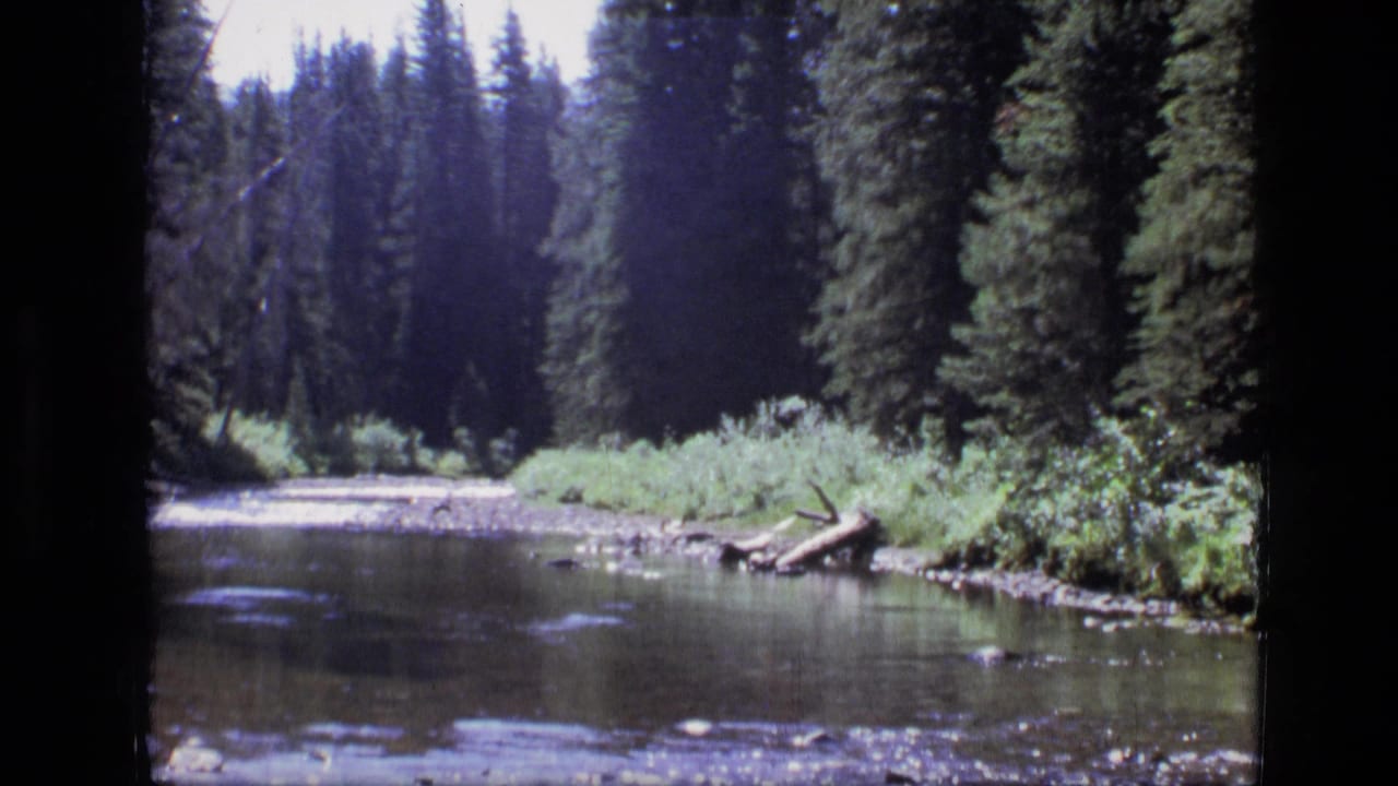The 1973 Montana wilderness scene shows a shallow river, rocky shoreline, green brush, and tall conifer trees.