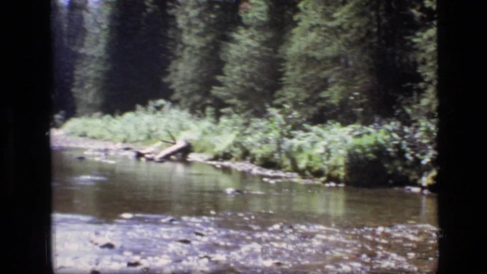 The final frame shows shallow water, exposed stones, a green riverbank, and conifer forest in the Montana wilderness setting.