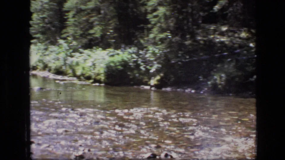 1973 8mm view of a shallow stream in Scapegoat Wilderness, Montana, bordered by dense trees and foliage.