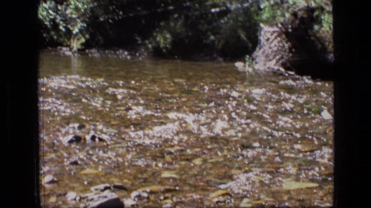 Close view of a clear rocky stream in the Montana wilderness, with bright reflections and trees along the far bank.