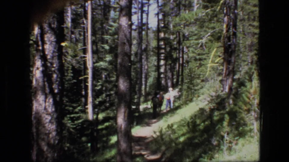Small group of hikers on a shaded forest trail in Scapegoat Wilderness, Montana, filmed from a distance on 8mm.