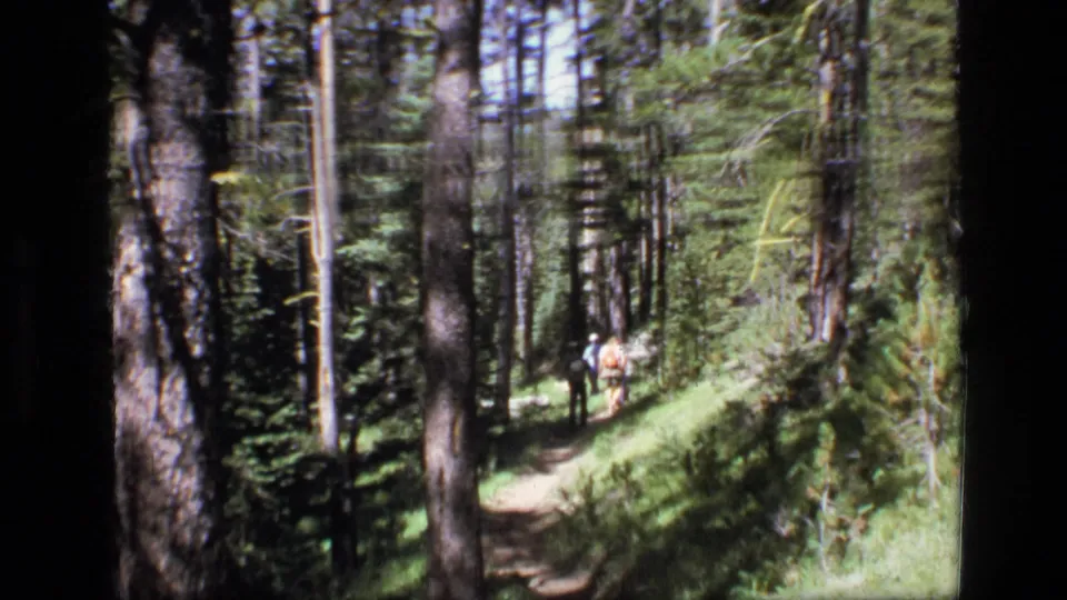 Distant hikers pass through a wooded Montana trail scene, with tall trunks and bright undergrowth surrounding the path.