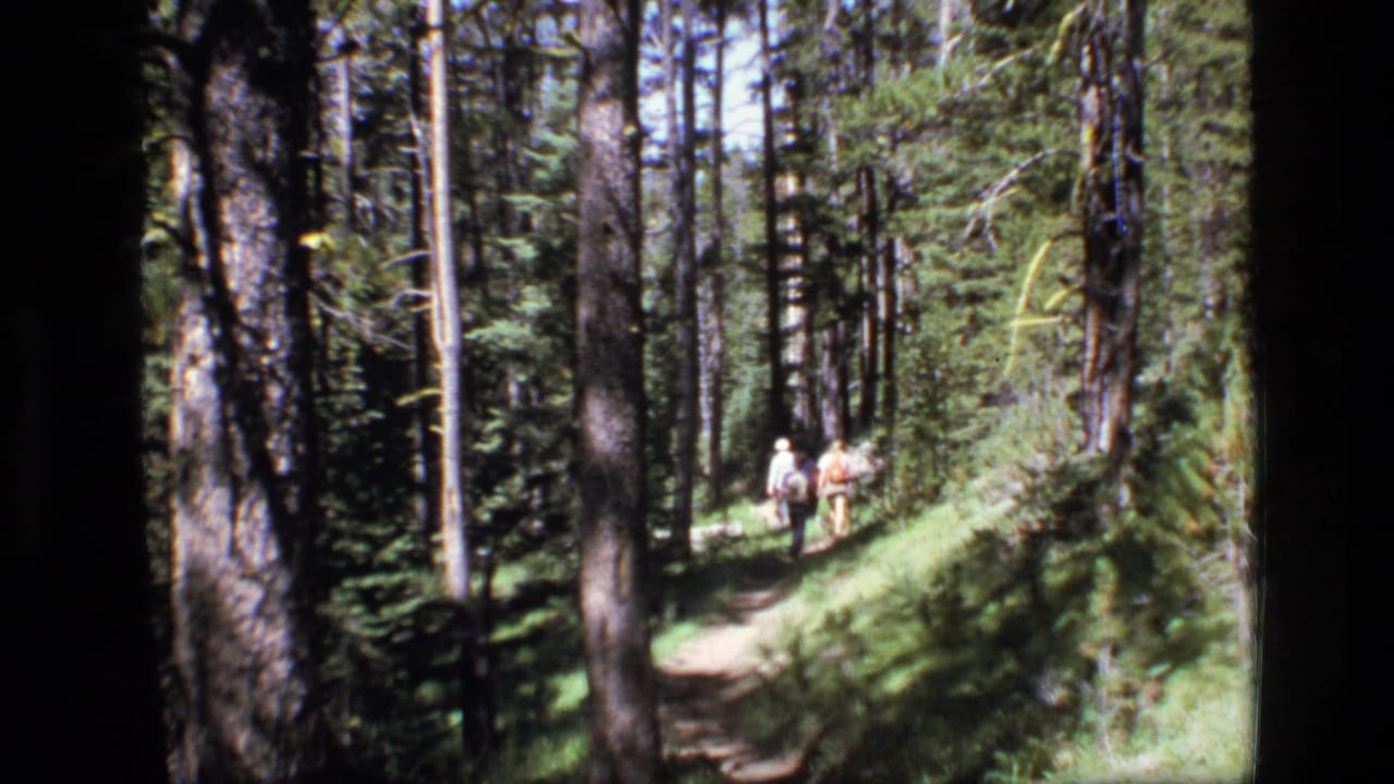 In Scapegoat Wilderness, Montana, an adult and children hike along a shaded evergreen trail in 1973 home-movie footage.