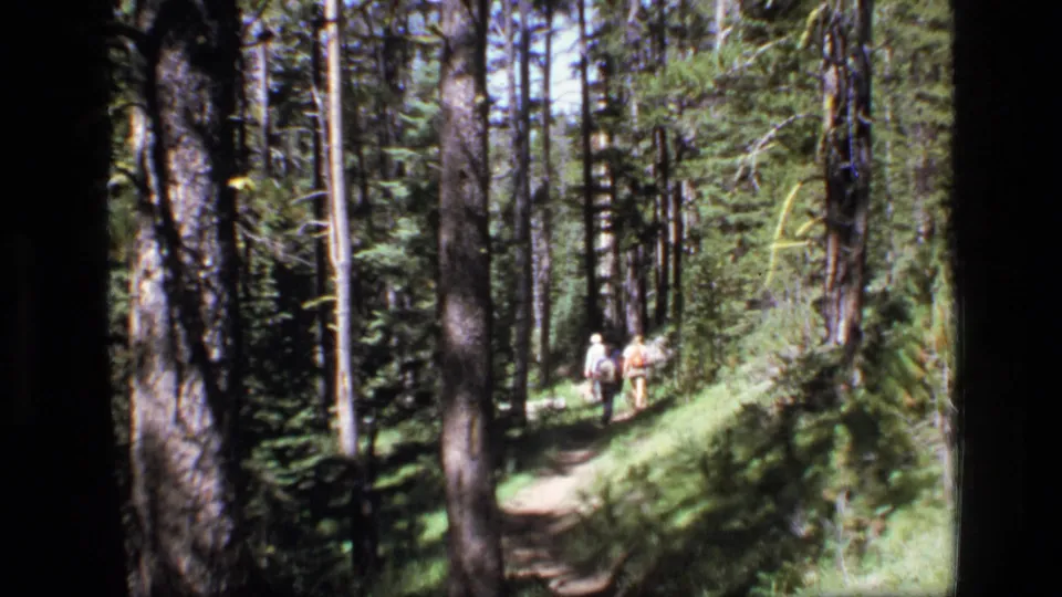 In Scapegoat Wilderness, Montana, an adult and children hike along a shaded evergreen trail in 1973 home-movie footage.