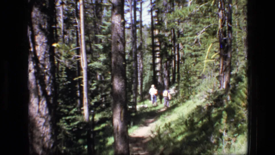 The 1973 Montana home-movie frame shows hikers on a winding forest path with tall trunks and bright patches of sunlight.