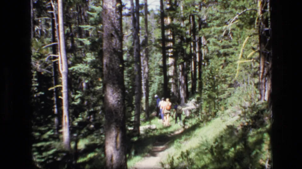 A family hiking group, including children with small backpacks, follows a dirt trail through Montana forest in 1973 8mm footage.