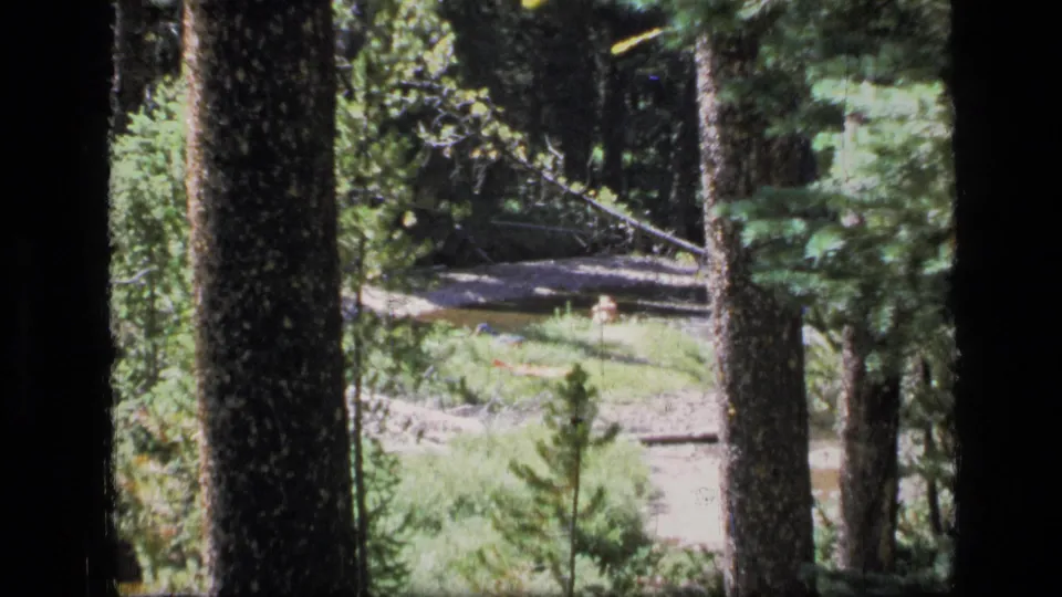 In Scapegoat Wilderness, Montana, distant people appear near a stream in a grassy clearing framed by tall trees.