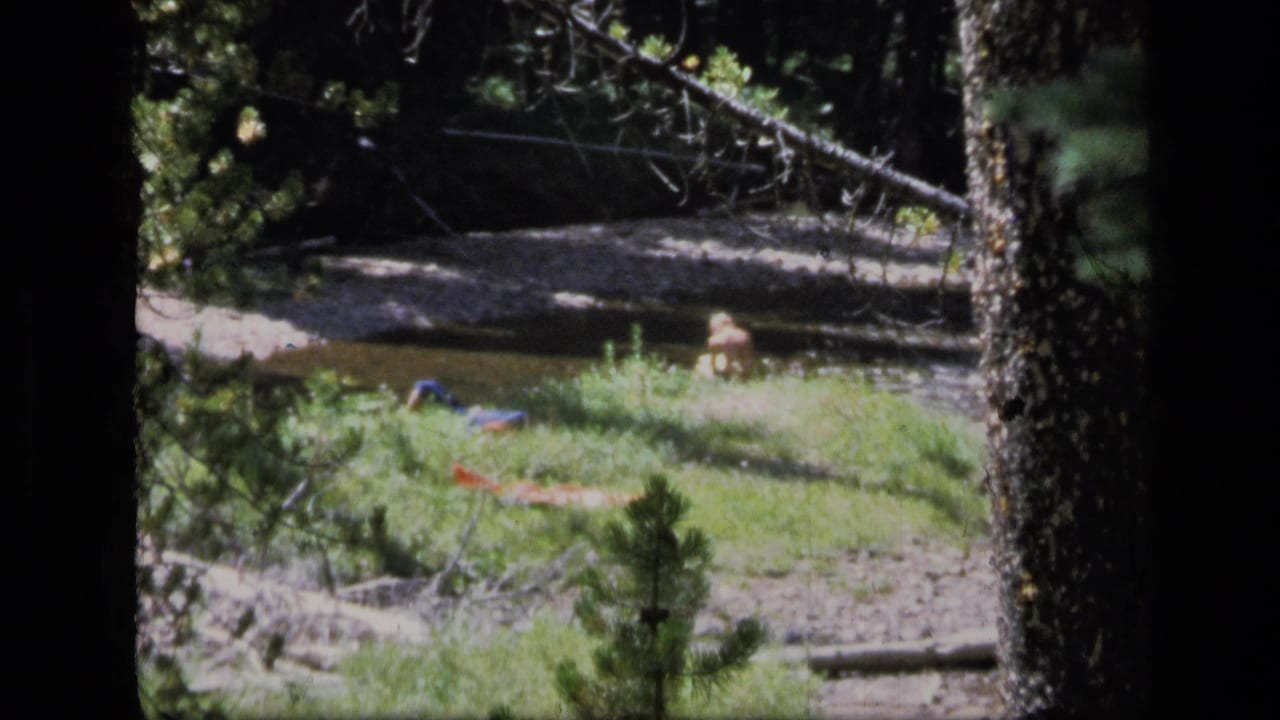 Forest creek bank with a seated man and colored fabric on the grass.