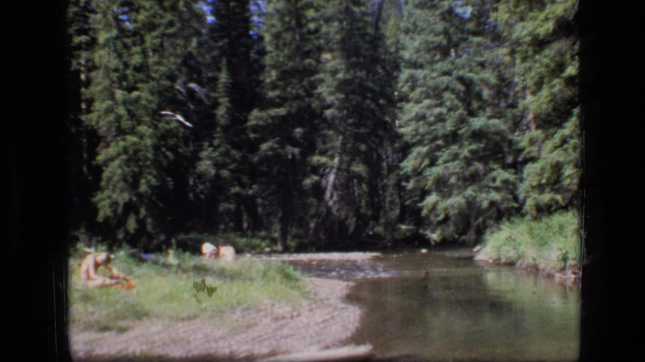 1973 8mm home-movie frame from Scapegoat Wilderness, Montana, showing a child seated near a slow river in dense forest.