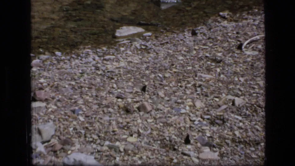 Low 8mm view of a rocky creek bed with shallow water and scattered natural debris in the Montana wilderness setting.