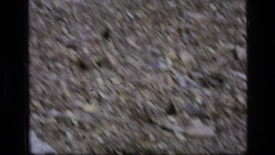 Blurred 8mm frame from the 1973 Montana wilderness clip, showing pebbled ground and dark butterfly shapes during camera movement.
