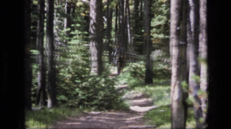 A narrow dirt trail winds through dense Montana forest after the hikers have moved out of the frame.