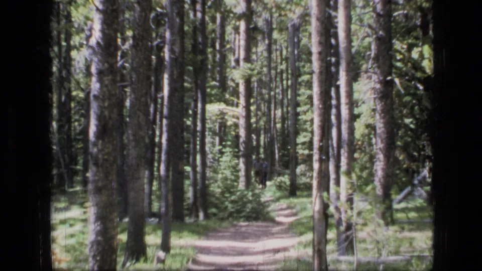 The camera holds on a quiet forest path with tall trees and soft 8mm focus in the 1973 Montana clip.