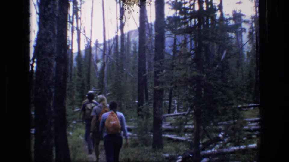 Three hikers seen from behind with backpacks on a shaded Montana wilderness trail, with trees and a distant slope visible.