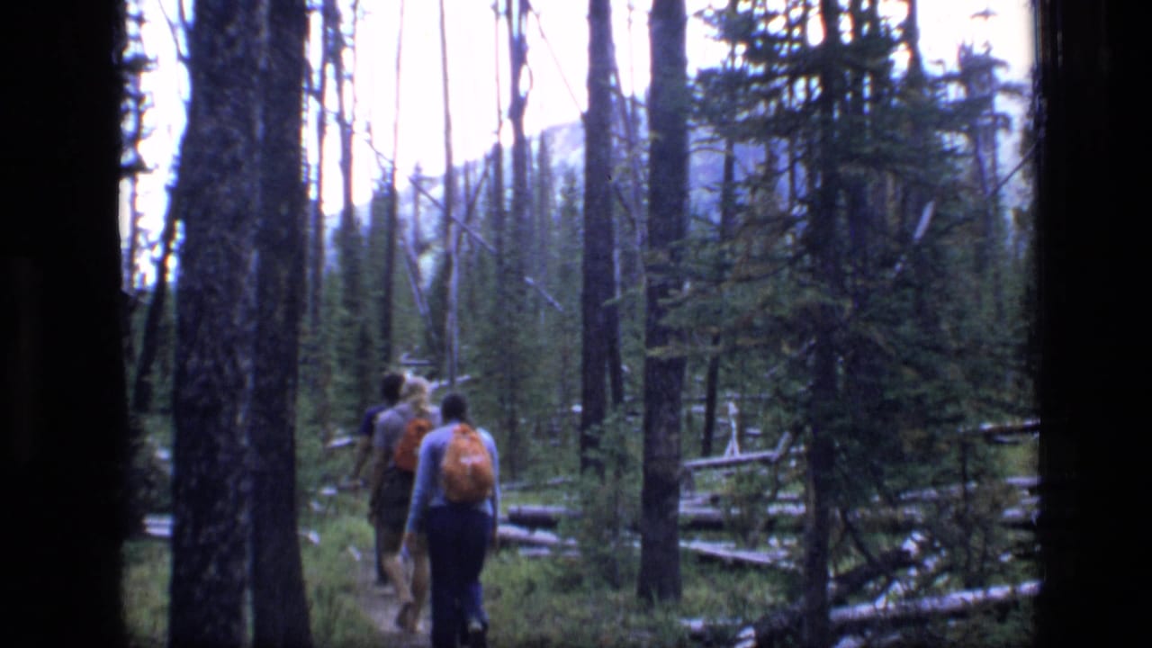 1973 8mm footage shows friends hiking away along a forest trail in Scapegoat Wilderness, Montana, with fallen logs nearby.