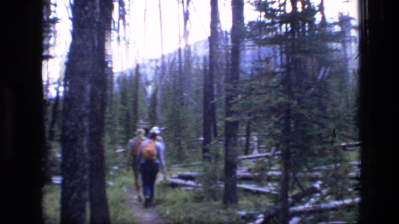 Two hikers continue down a wooded path, seen from behind.