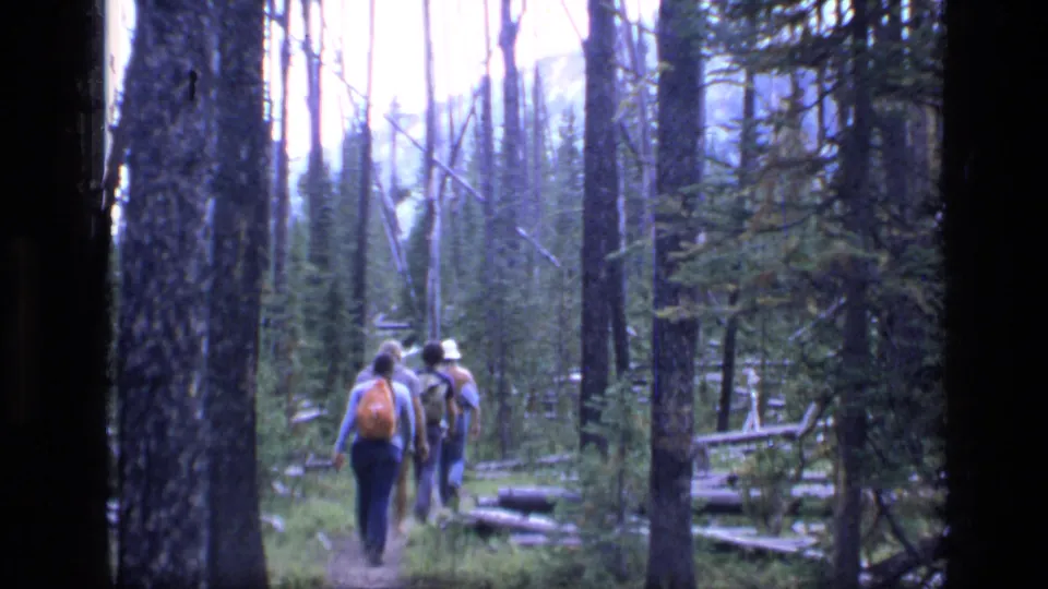 The group hikes farther into Scapegoat Wilderness, Montana, with backpacks visible amid tall trunks and downed timber.
