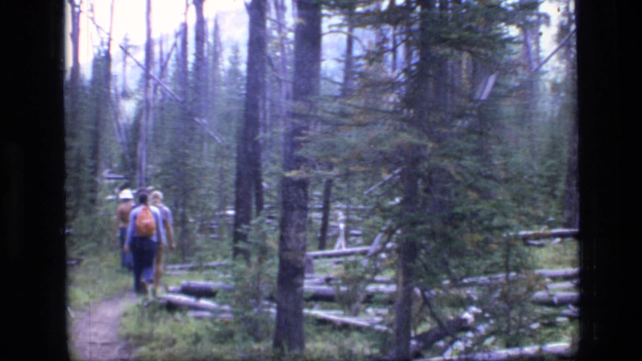 Two hikers in Scapegoat Wilderness, Montana, walk away through a dense 1973 forest trail, one carrying a bright orange backpack.