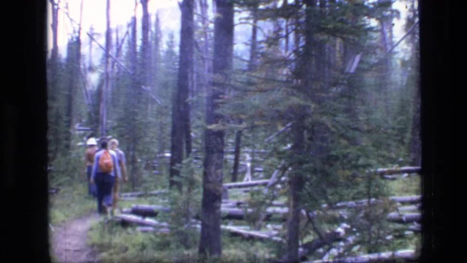 Two hikers in Scapegoat Wilderness, Montana, walk away through a dense 1973 forest trail, one carrying a bright orange backpack.