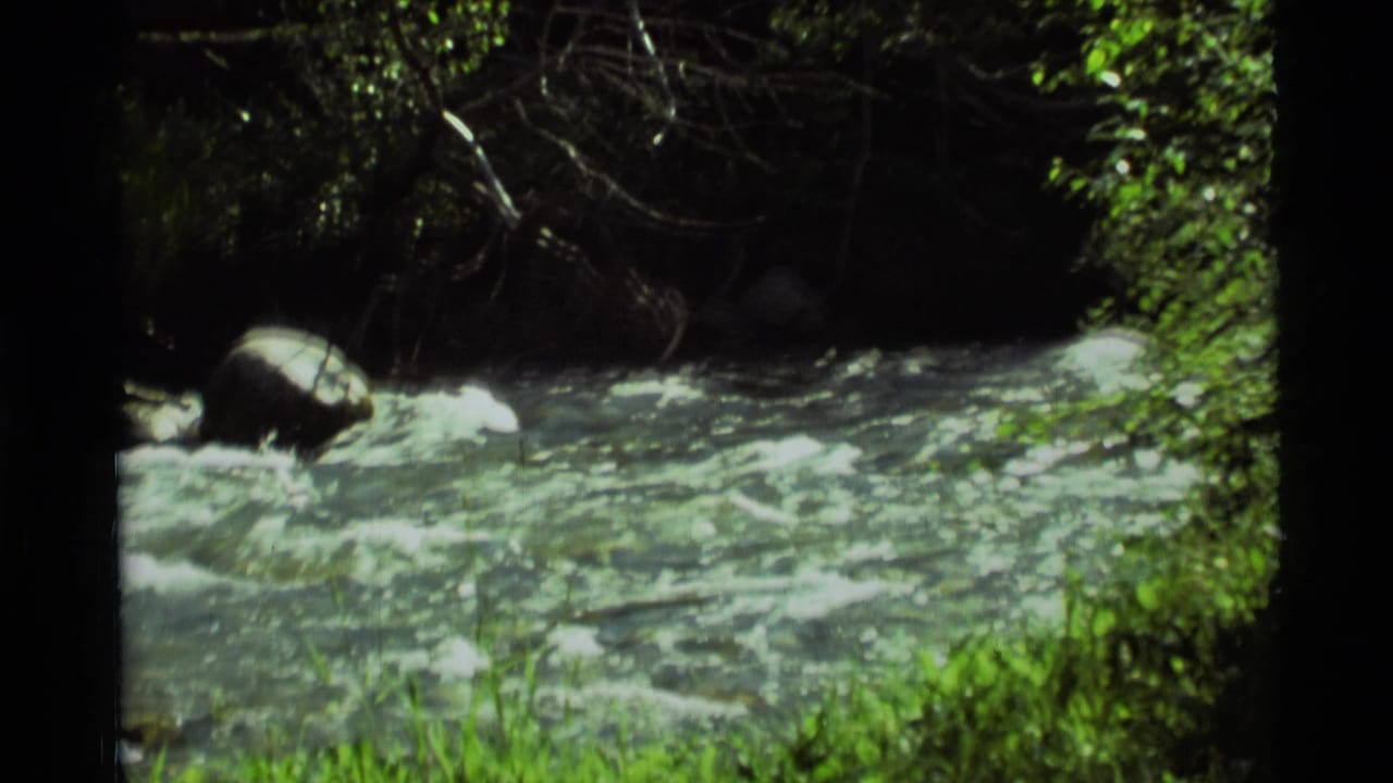 Rushing river bordered by green forest and a large rock near the bank.