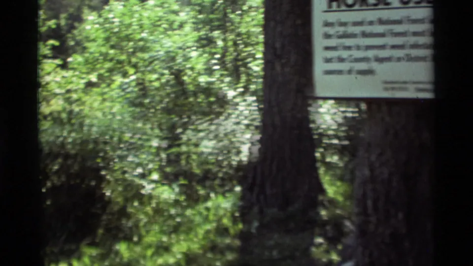 1975 Agate Springs forest view with river water behind trees and a partially legible posted sign in the foreground.