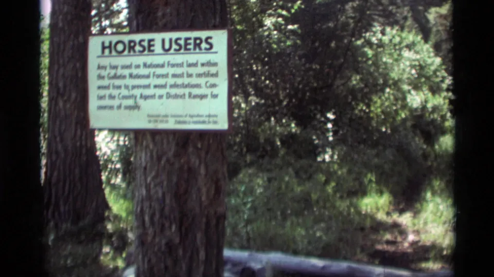 National Forest Horse Users sign on a tree beside a narrow wooded trail in 1975 Montana home-movie footage.