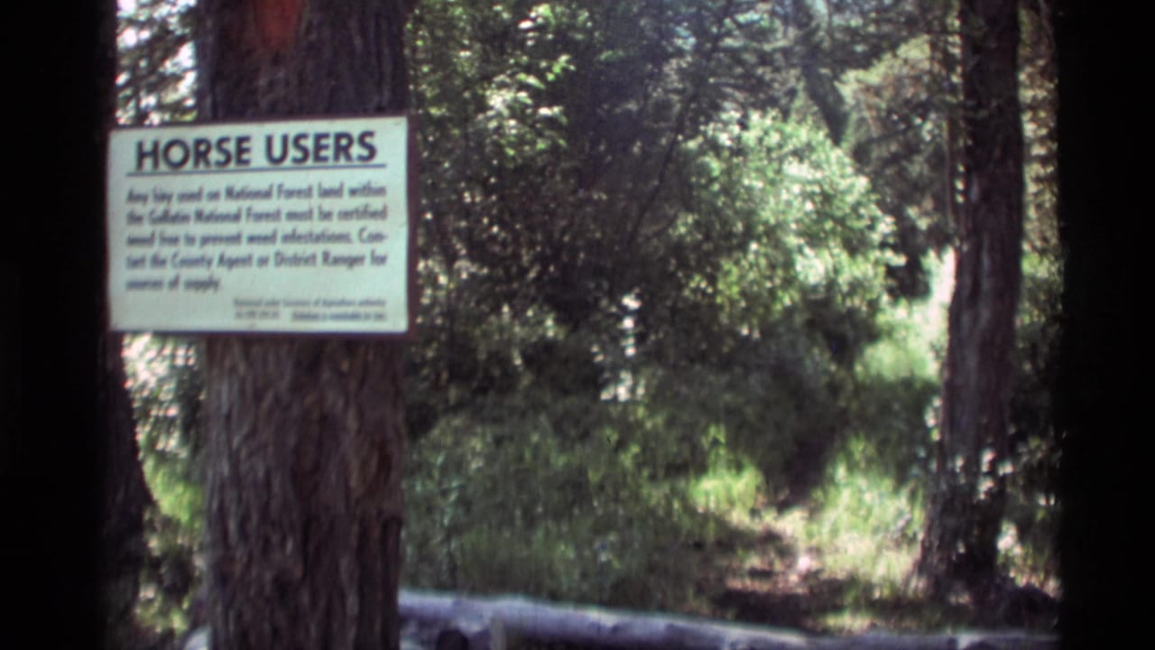 White Horse Users notice posted on a tree beside a wooded trail area.