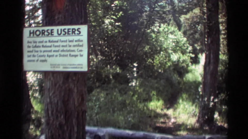 1975 8mm frame from Agate Springs, Montana showing a Horse Users notice fixed to a tree in dense forest.