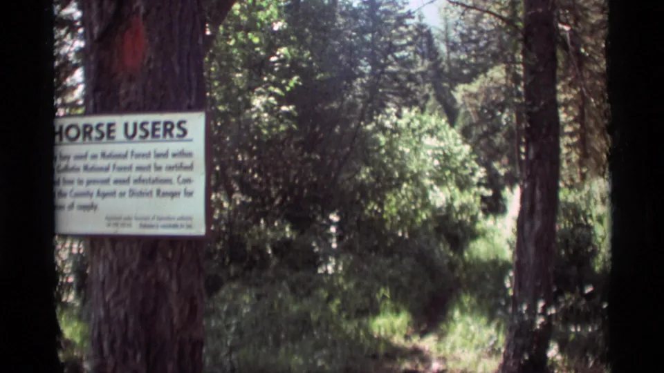 A second 1975 Agate Springs frame keeps the Horse Users notice in view against trunks and leafy forest growth.