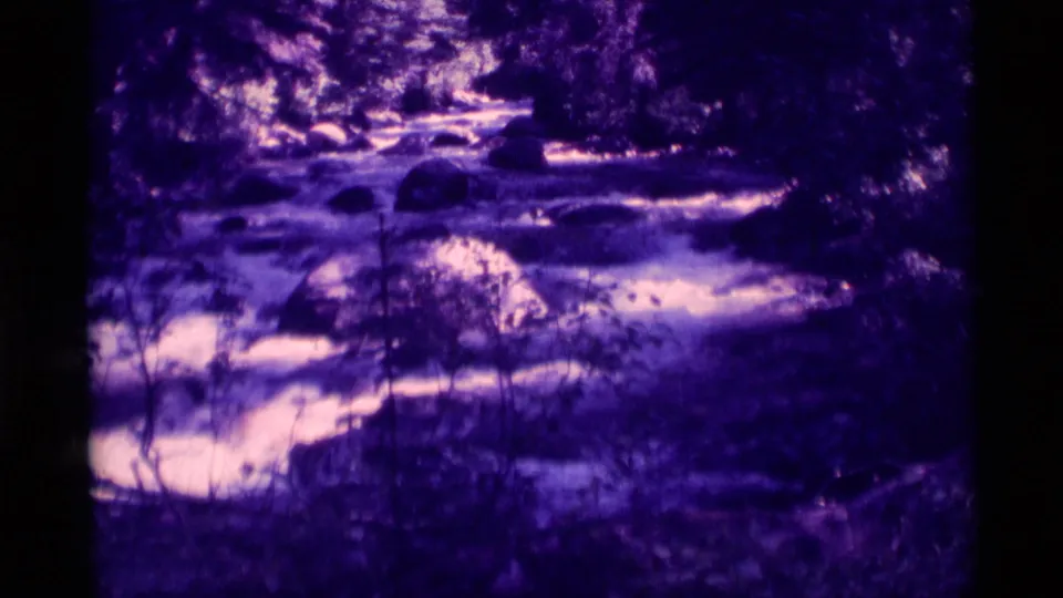 Purple-shifted 8mm frame of a shaded rocky stream in the Agate Springs forest setting.