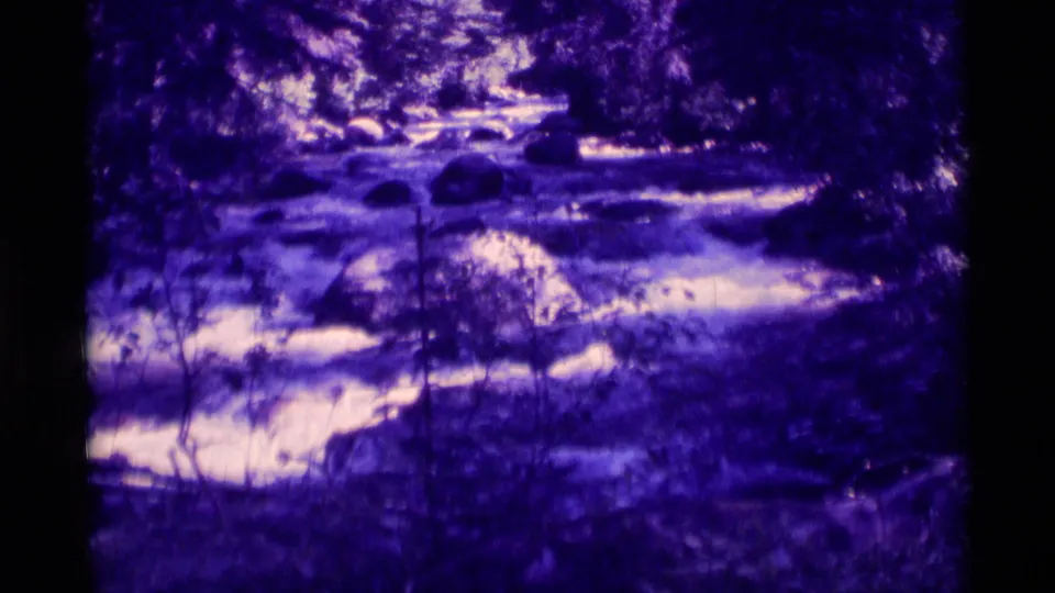 Later 1975 8mm frame showing the rocky stream under trees with pronounced purple film coloration.