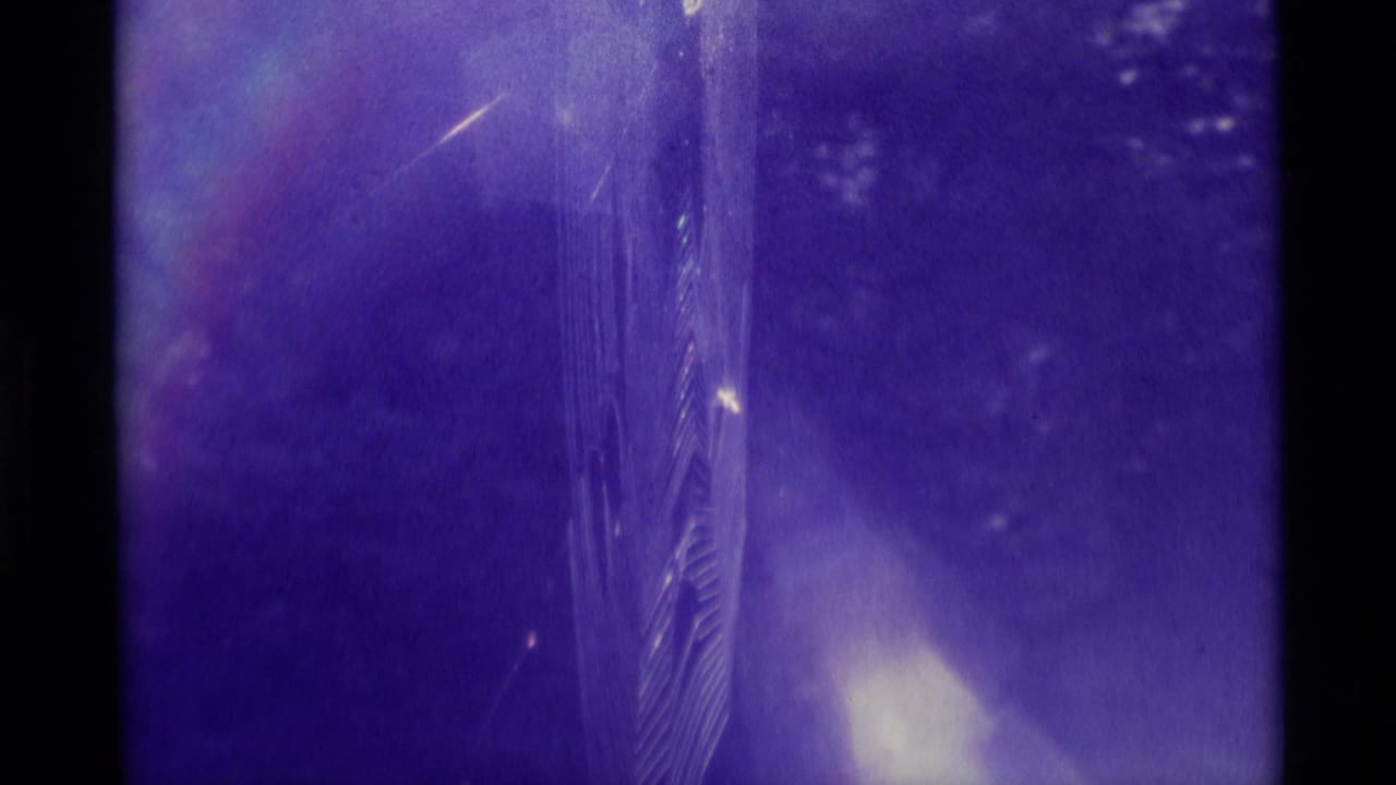 Purple-tinted 8mm frame with dark borders, a vertical textured form, flares, dust specks, and soft forest-like background.