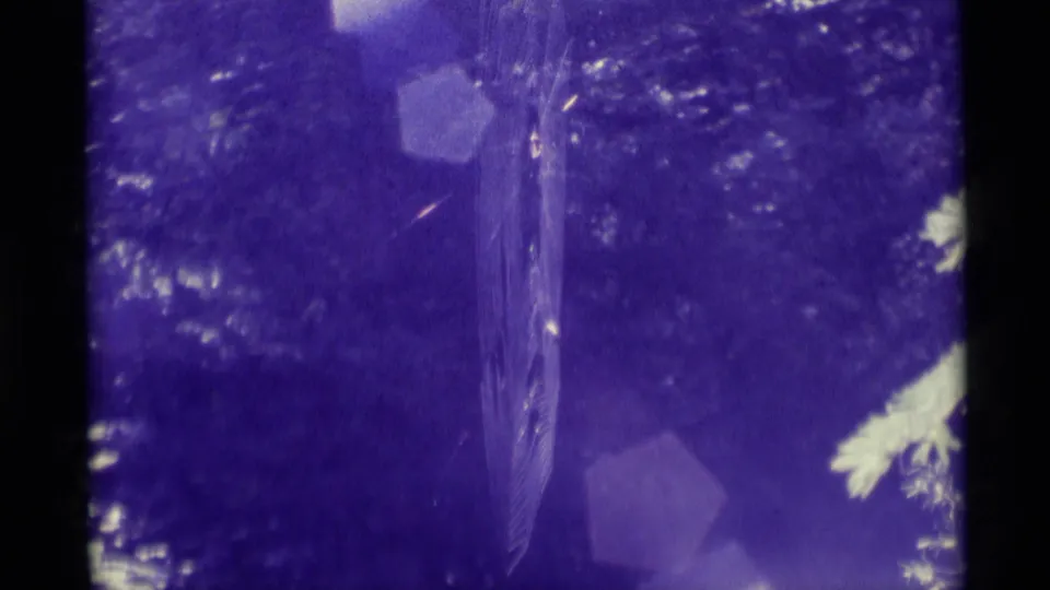 1975 Montana home-movie frame with purple dye shift, central vertical form, bright foliage-like edge, flare patches, scratches, and grain.
