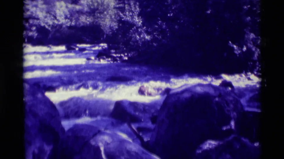Rocky water at Agate Springs, Montana, seen in a steady 1975 8mm home-movie frame with dense tree cover and film grain.