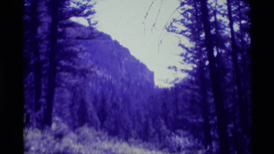 1975 8mm Montana home-movie frame with trees, brush, and a distant forested mountain slope tinted purple-blue by the film image.