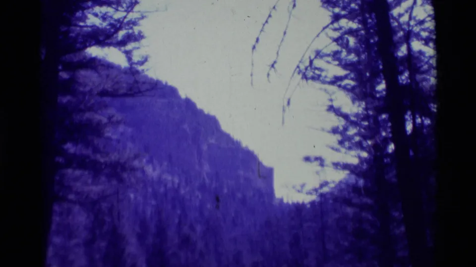 1975 8mm landscape frame near Agate Springs showing a forested mountain face, dark tree silhouettes, and pale bright sky.